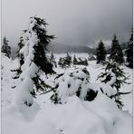 Sommer - Schneelandschaft