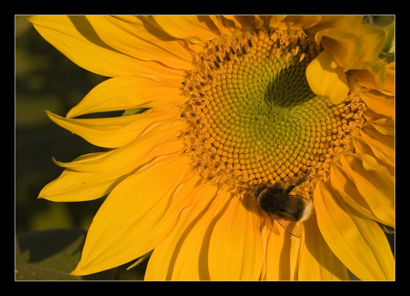 Sommer schon vorbei?