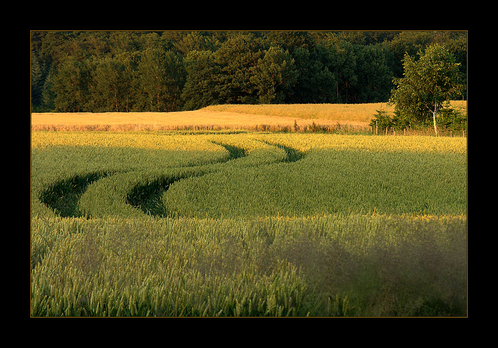 Sommer - sich windend...