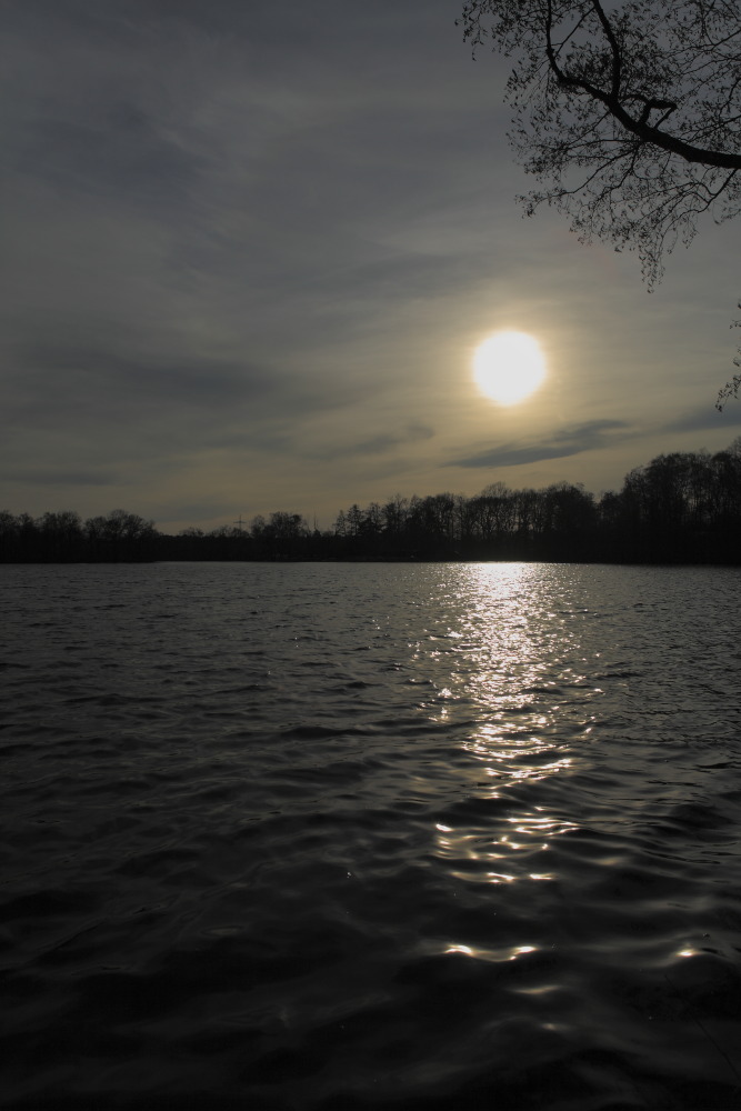 Sommer, Sonne... Ach nee wir haben ja erst Februar