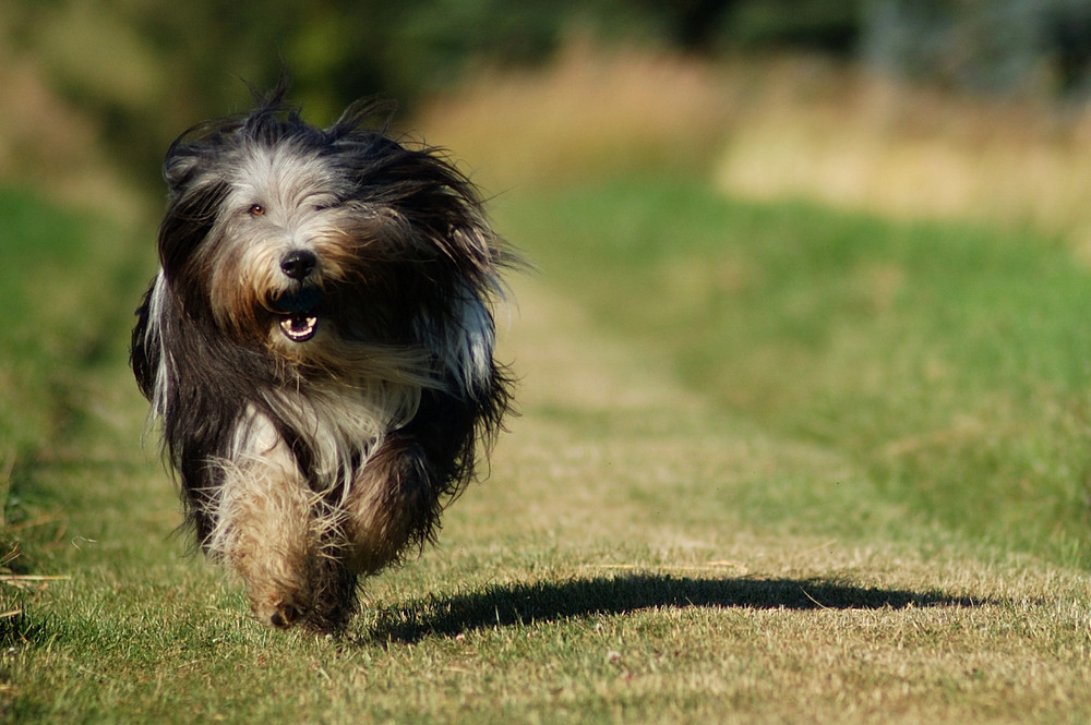 Sommer, Sonne, Ballspielen