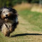 Sommer, Sonne, Ballspielen