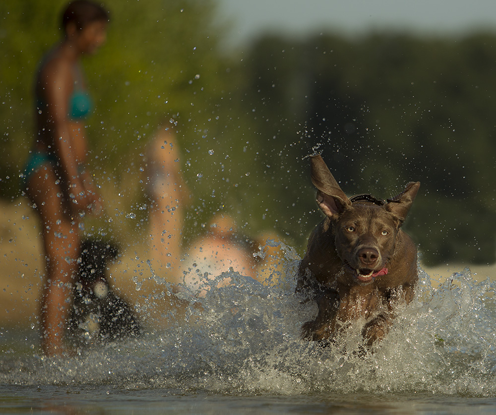 Sommer, Sonne,.....