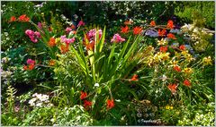 Sommer - Sonne - Blumen