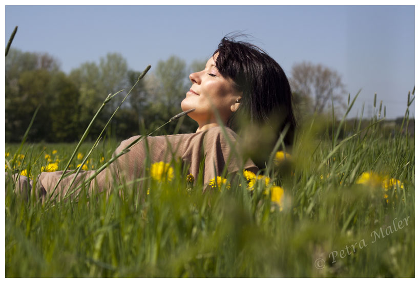 Sommer, Sonne, Blumenwiese