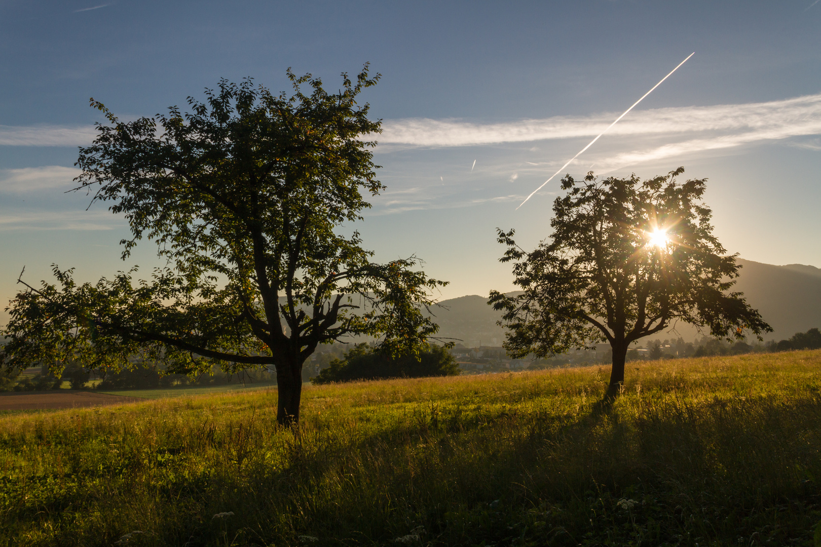 Sommer Sonne