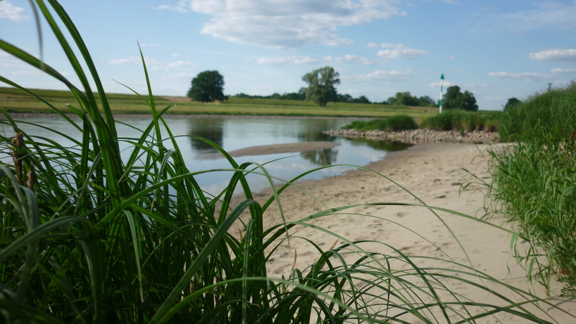 Sommer , Sonne ... Elbestrand