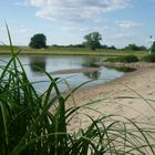 Sommer , Sonne ... Elbestrand