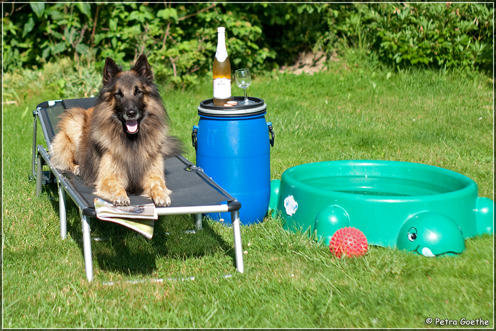 Sommer, Sonne, Gartenzeit