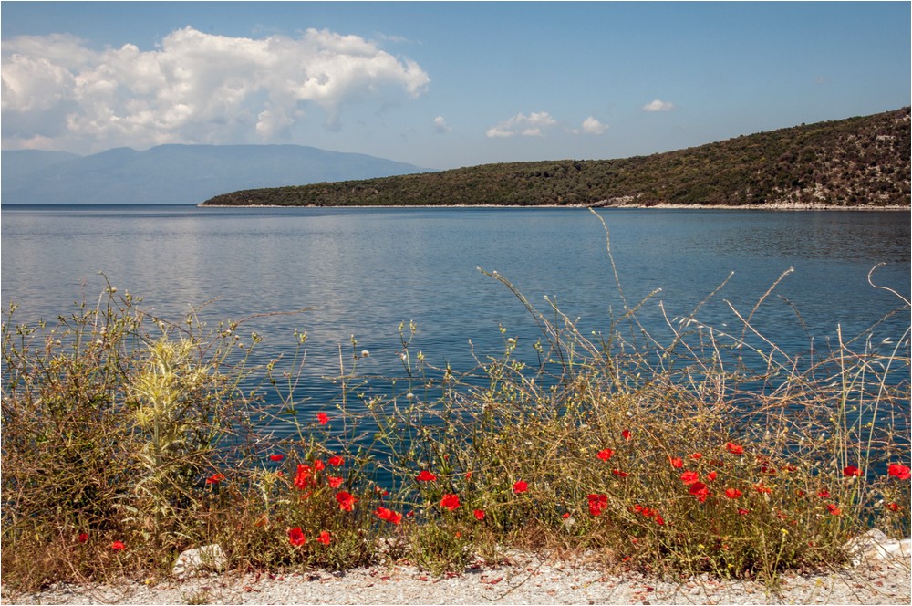 Sommer, Sonne, Mohn und Meer ...