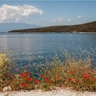 Sommer, Sonne, Mohn und Meer ...