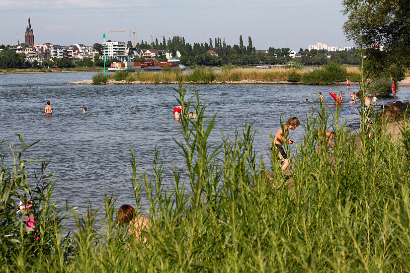 Sommer, Sonne, Sand und Rhein...