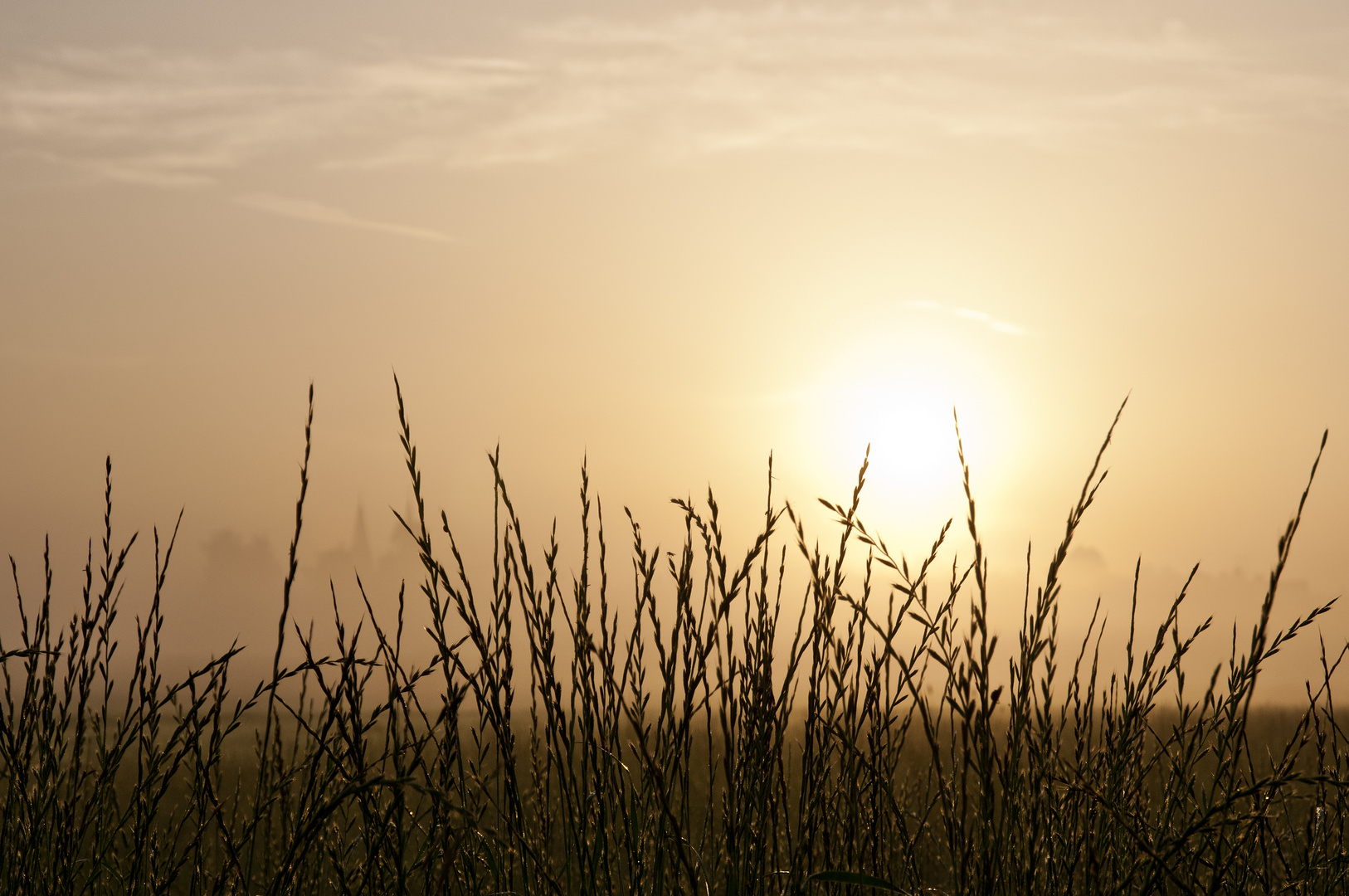 Sommer Sonne Sonnenschein 2