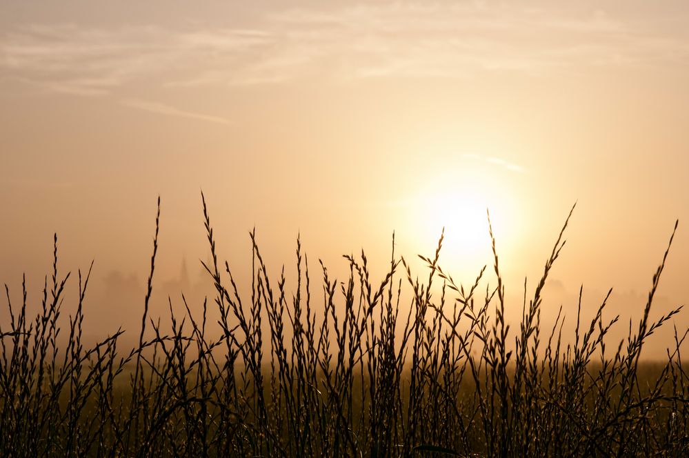 Sommer Sonne Sonnenschein 2