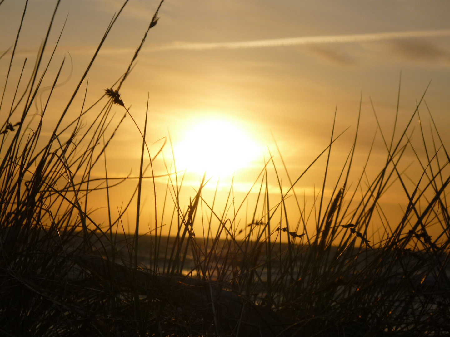 Sommer Sonne Sonnenschein