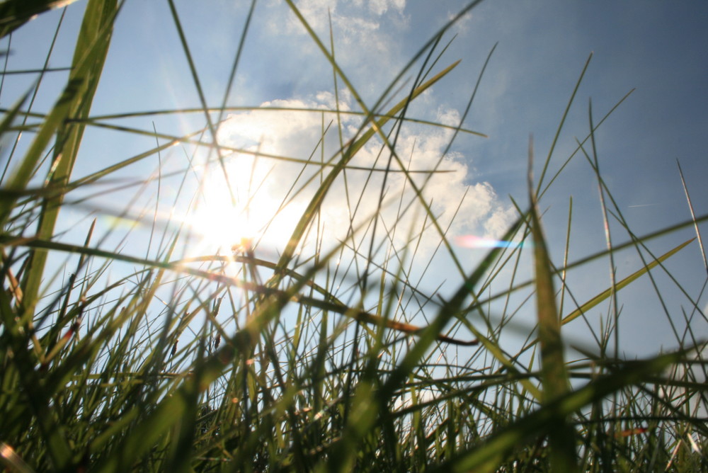 sommer, sonne, sonnenschein...