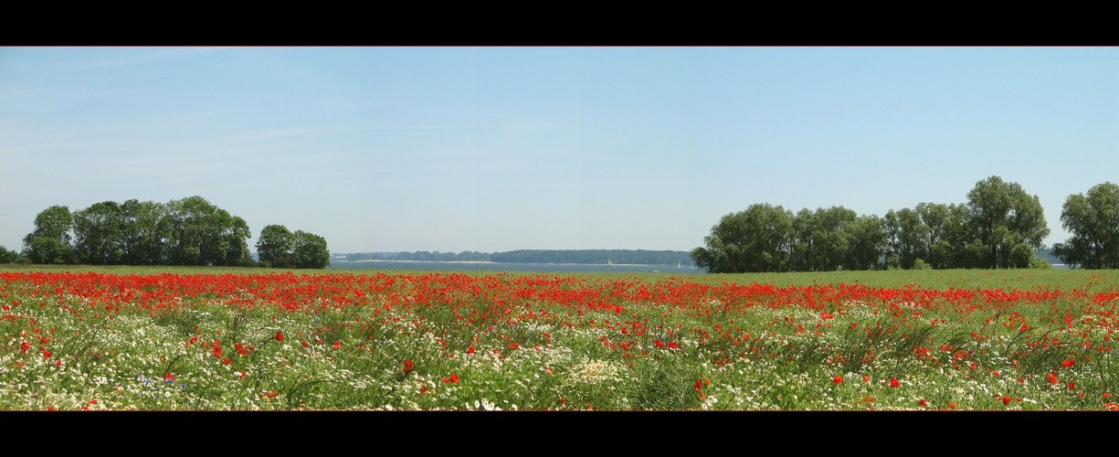 Sommer, Sonne, Sonnenschein