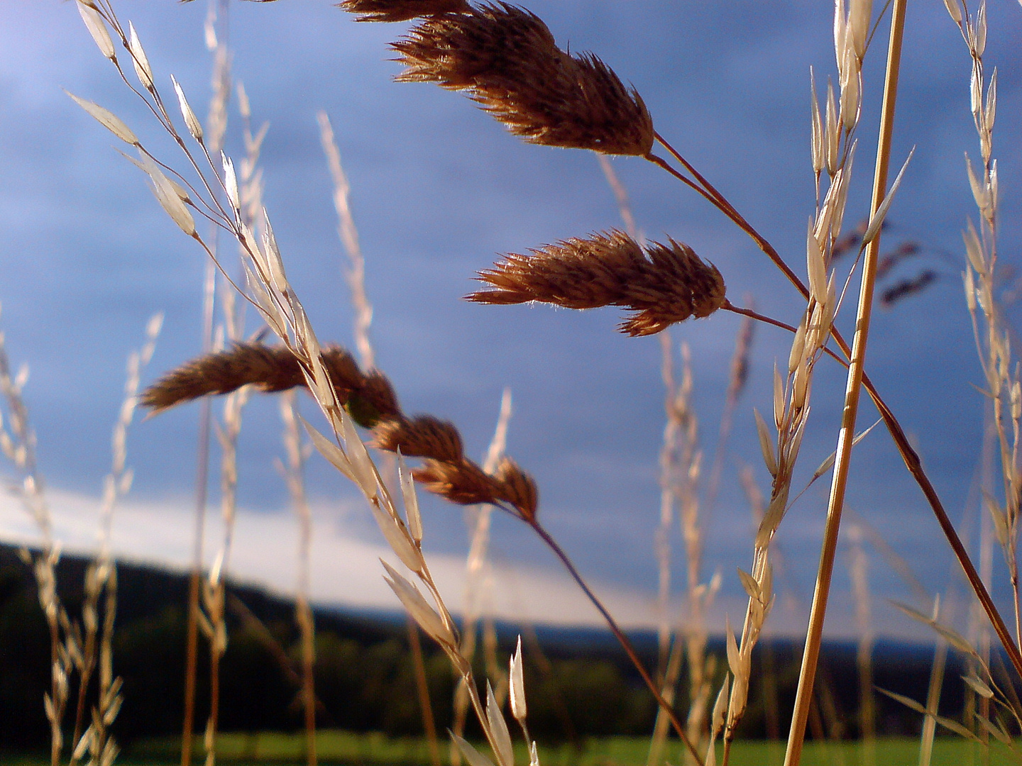 Sommer Sonne Sonnenschein.