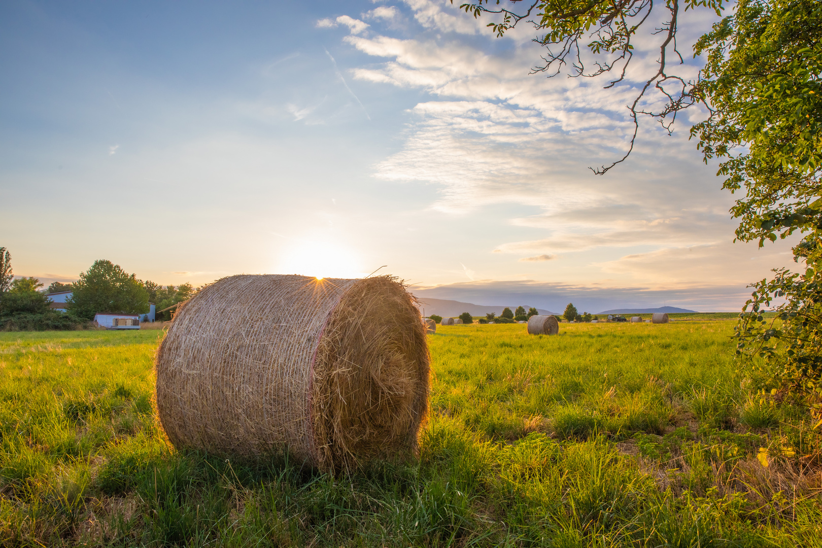 Sommer-Sonne-Sonnenstern