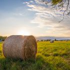 Sommer-Sonne-Sonnenstern