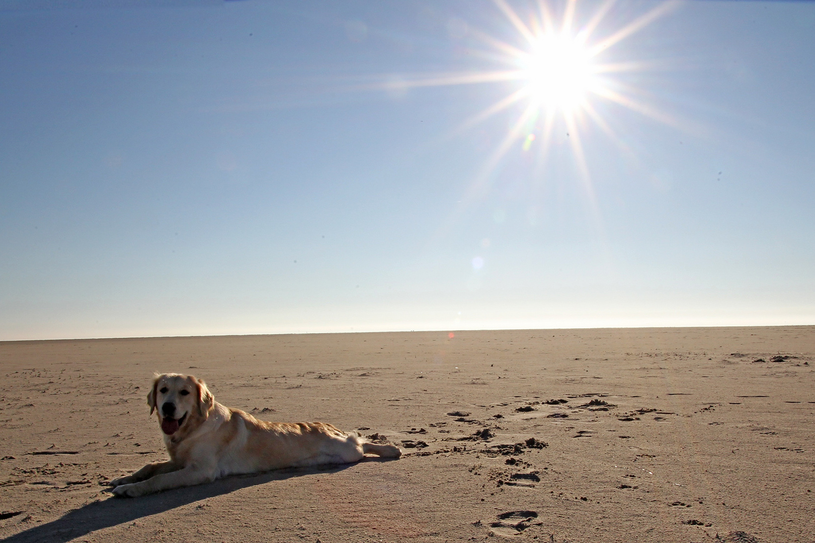 Sommer Sonne Strand