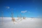 Sommer, Sonne, Strand ?? by Uschi Baier Fotografie