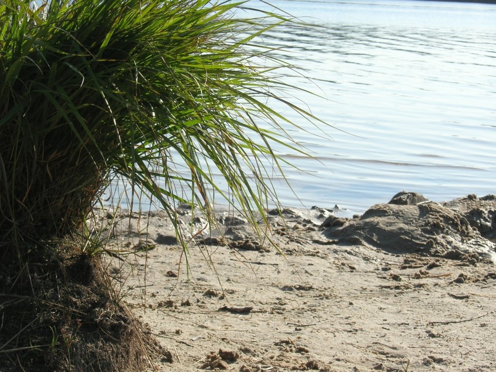 Sommer, Sonne, Strand in Ostfriesland