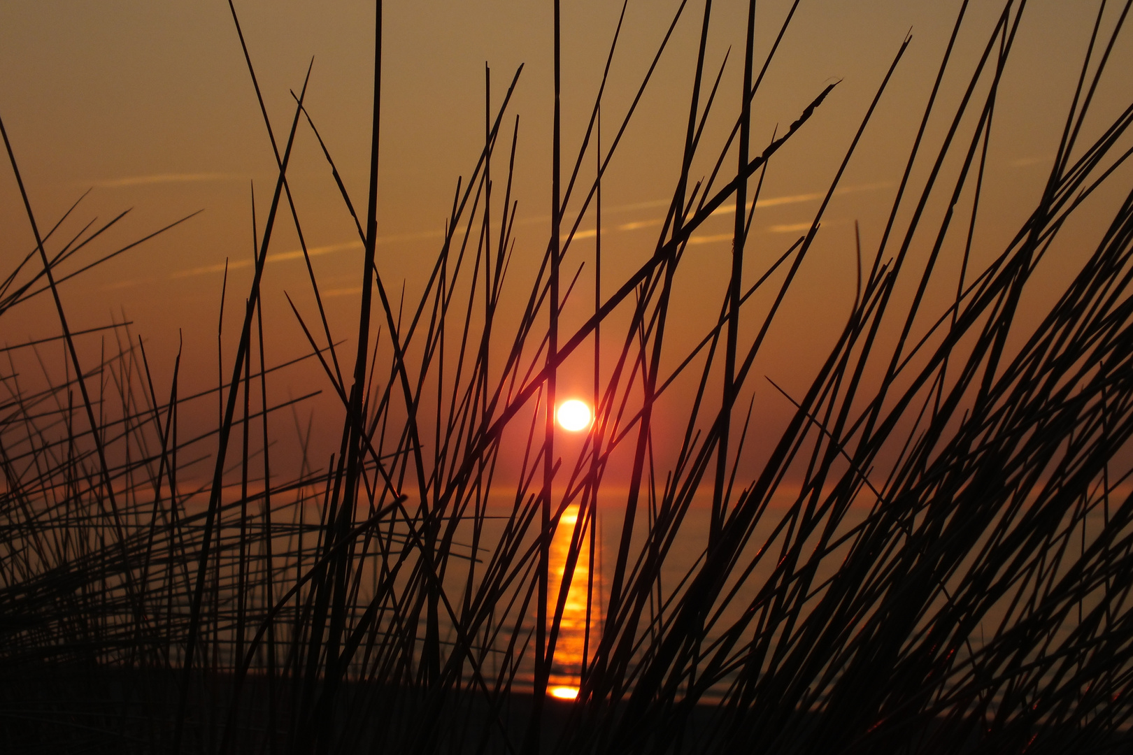 Sommer, Sonne, Strand & Meer