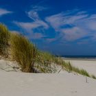 sommer, sonne, strand & meer - perfekte zutaten