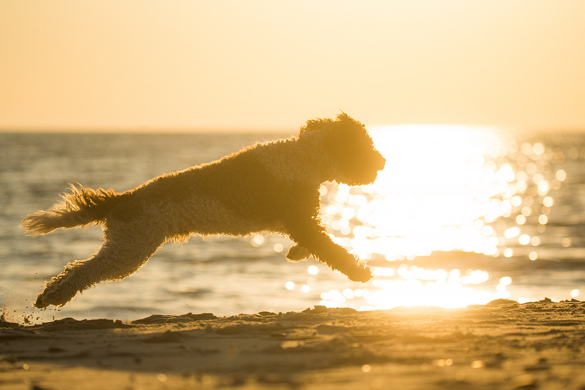 Sommer, Sonne Strand und Meer