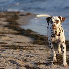 Sommer, Sonne, Strand und Meer