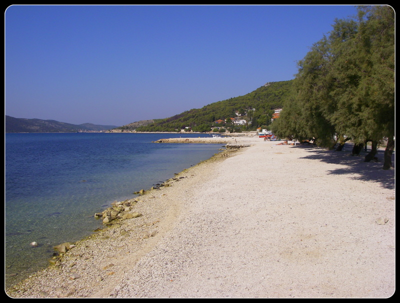 Sommer, Sonne Strand unter Pinienbäumen