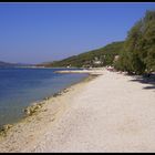 Sommer, Sonne Strand unter Pinienbäumen