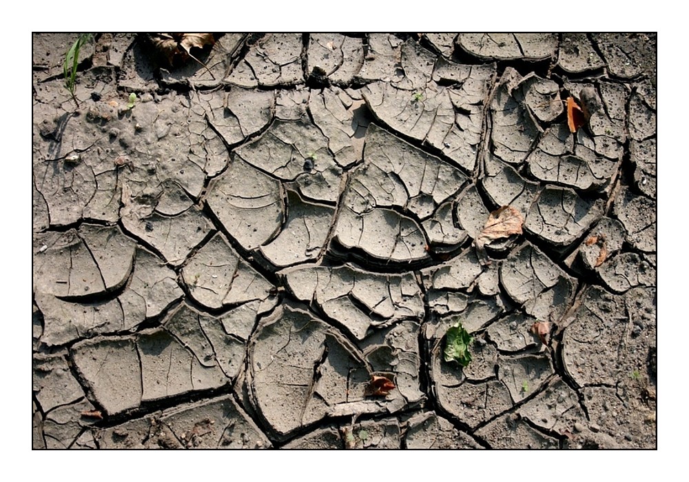 Sommer, Sonne, Trockenheit