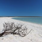 Sommer, Sonne und mehr Meer