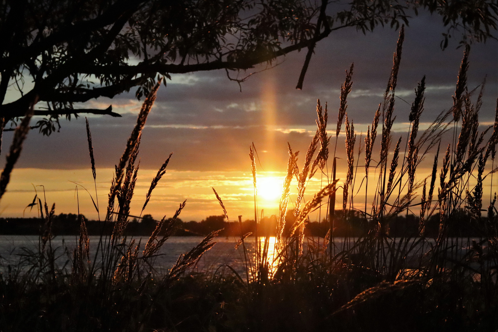 Sommer Sonne Urlaub Foto & Bild deutschland, europe, brandenburg