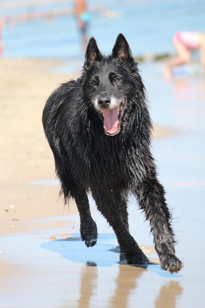 Sommer, Sonne, Urlbaub am Meer