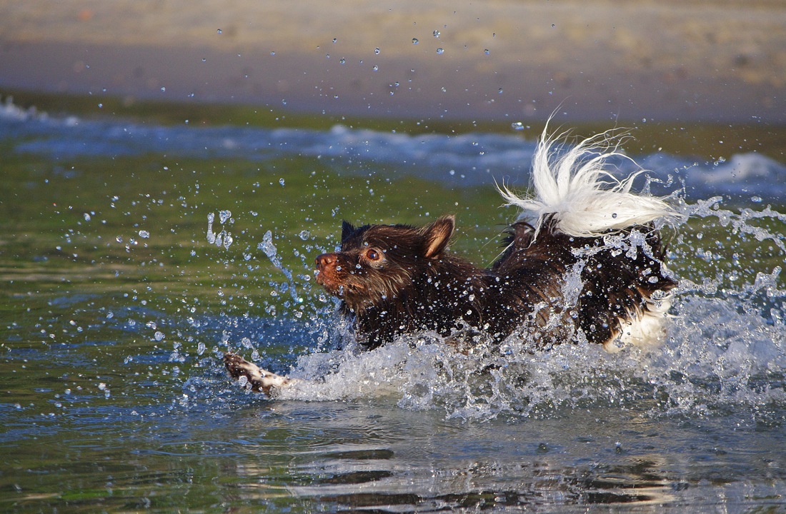 sommer sonne wasser