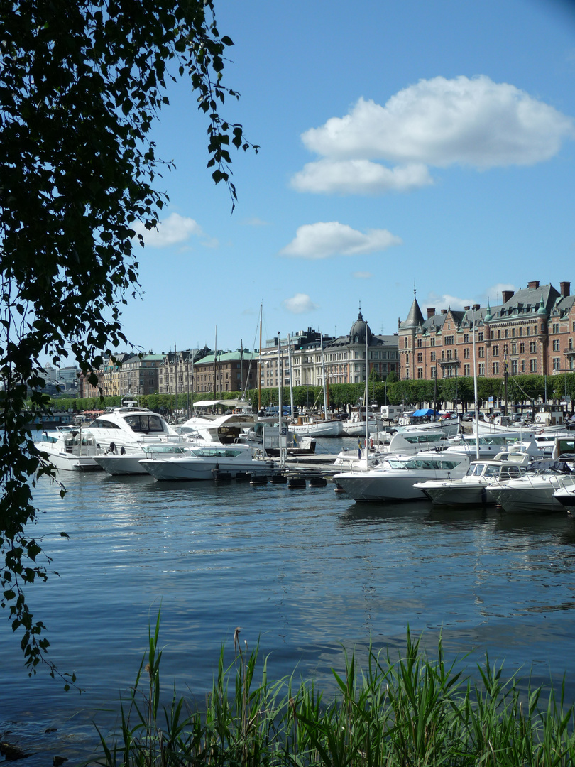 Sommer, Sonne, Wasser