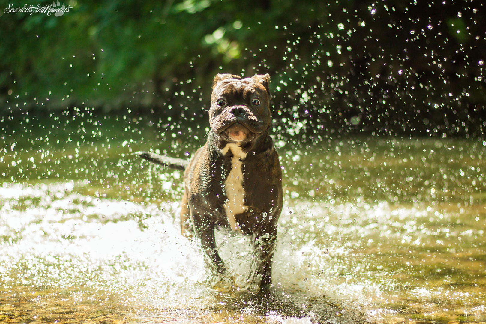 Sommer, Sonne, Wasserspaß