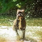 Sommer, Sonne, Wasserspaß