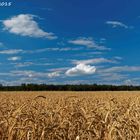 Sommer, Sonne, Wolken