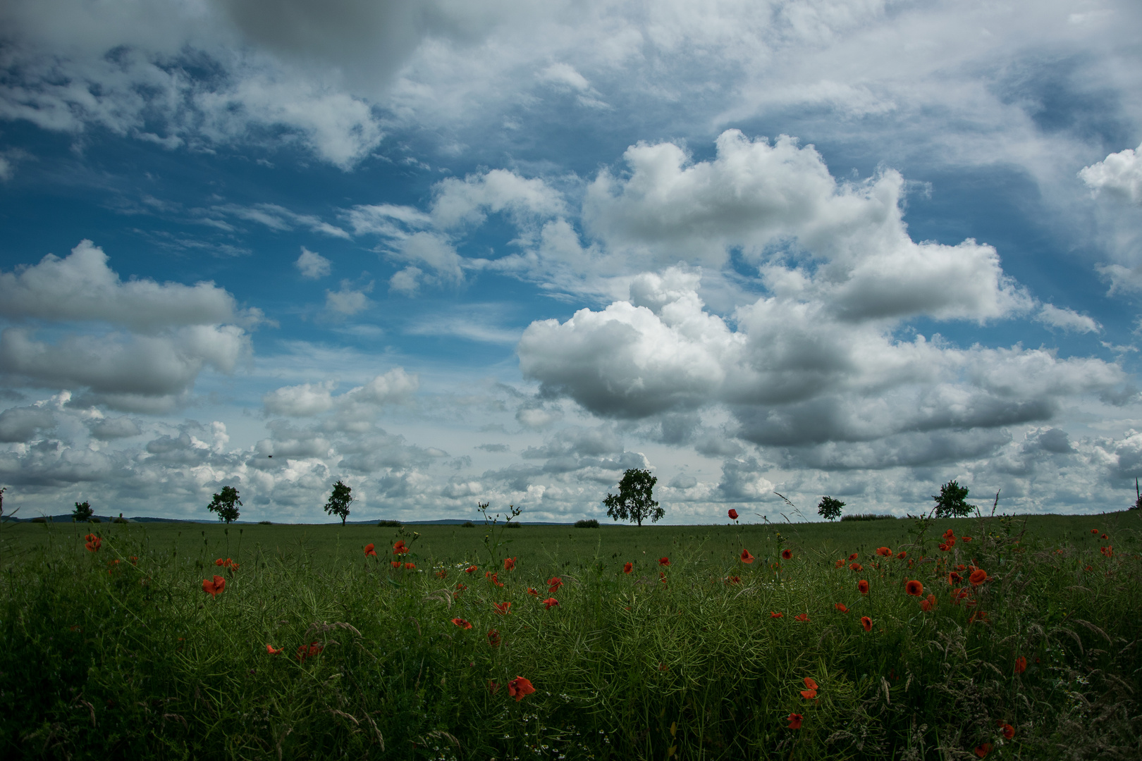 Sommer Sonne Wolken