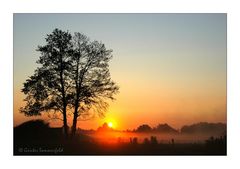 Sommer-Sonnen-Glühen