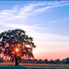 Sommer Sonnenuntergang