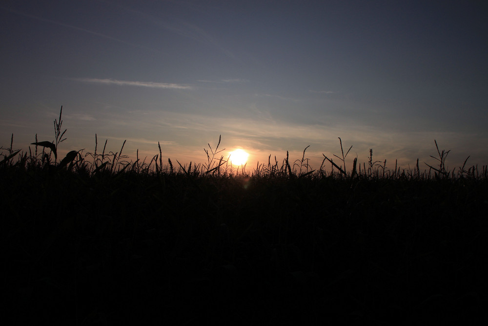 Sommer-Sonnenuntergang