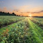 Sommer Sonnenuntergang