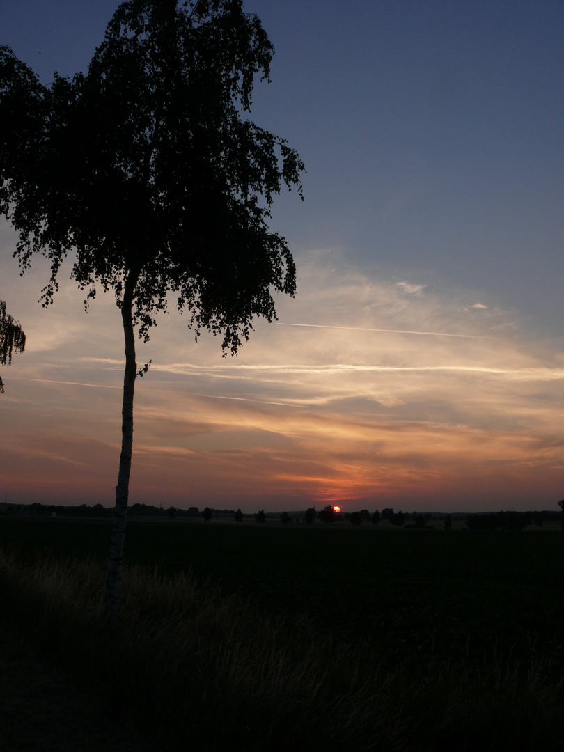 Sommer-Sonnenuntergang im Wendland