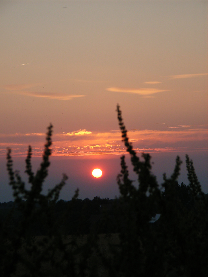 Sommer-Sonnenuntergang in den Baumbergen, 04.07.2010
