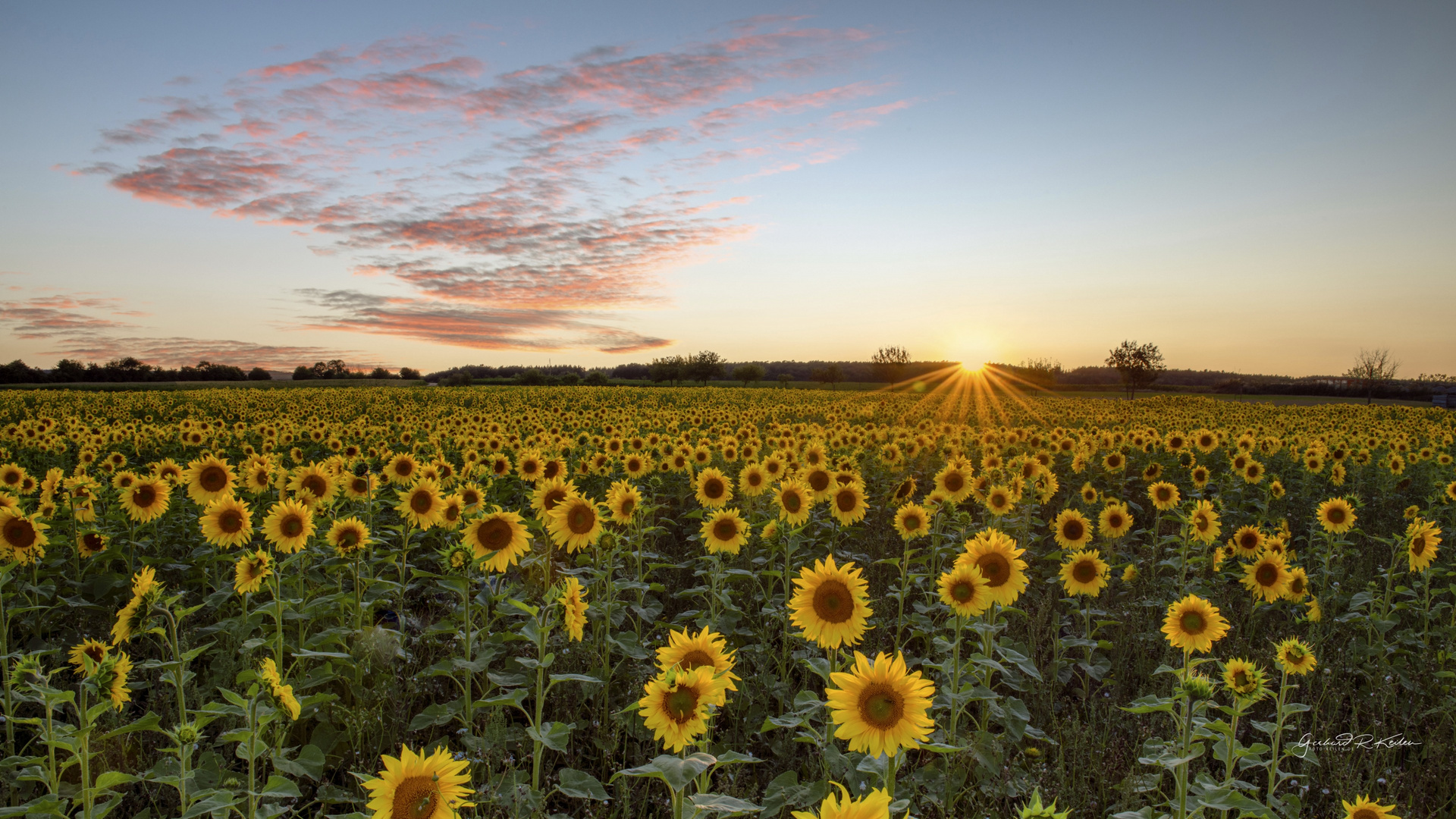 Sommer Sonnenuntergang in der Südeifel!